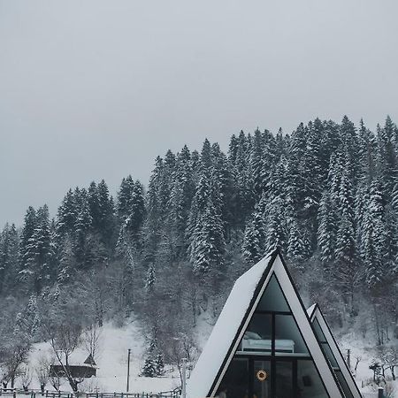 Mountains Hut Villa Mykulychyn Esterno foto